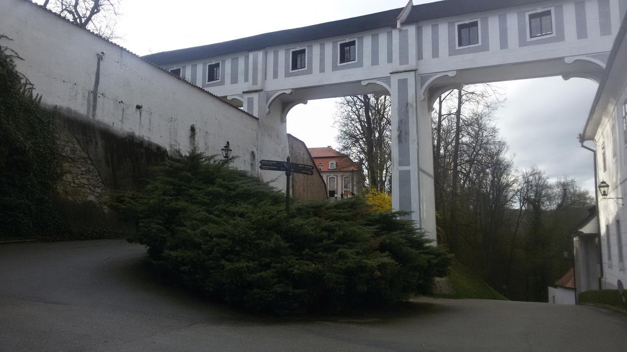 坢休恩尼卡酒店 Český Krumlov 外观 照片